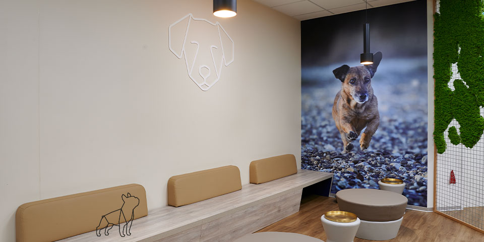 04 milani design consulting agency Tierklinik VetTrust Tierarzt Interior Furniture Vet