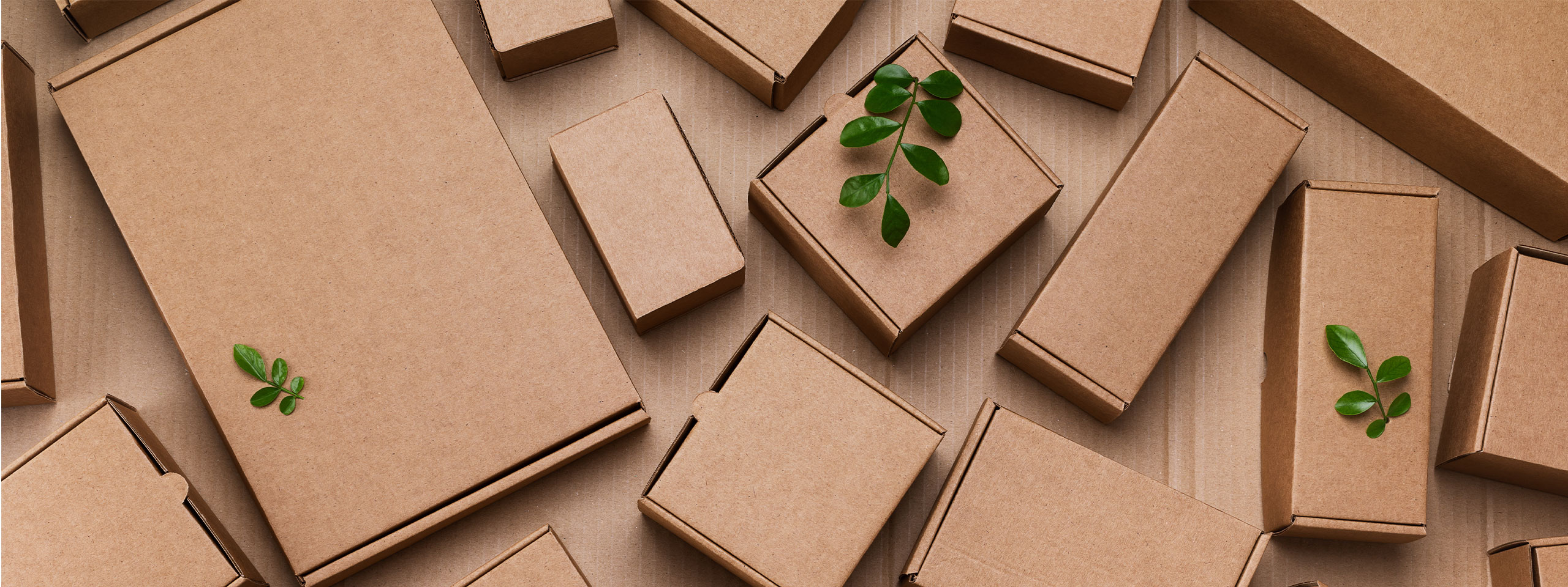 Header Milani design consulting agentur innovation business Sustainable packaging